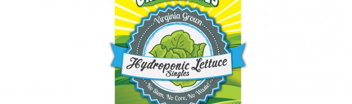 Label Packaging: Lettuce